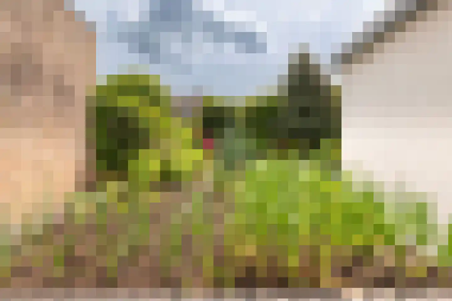 Schoolstraat 11 Brunssum thumbnail 30