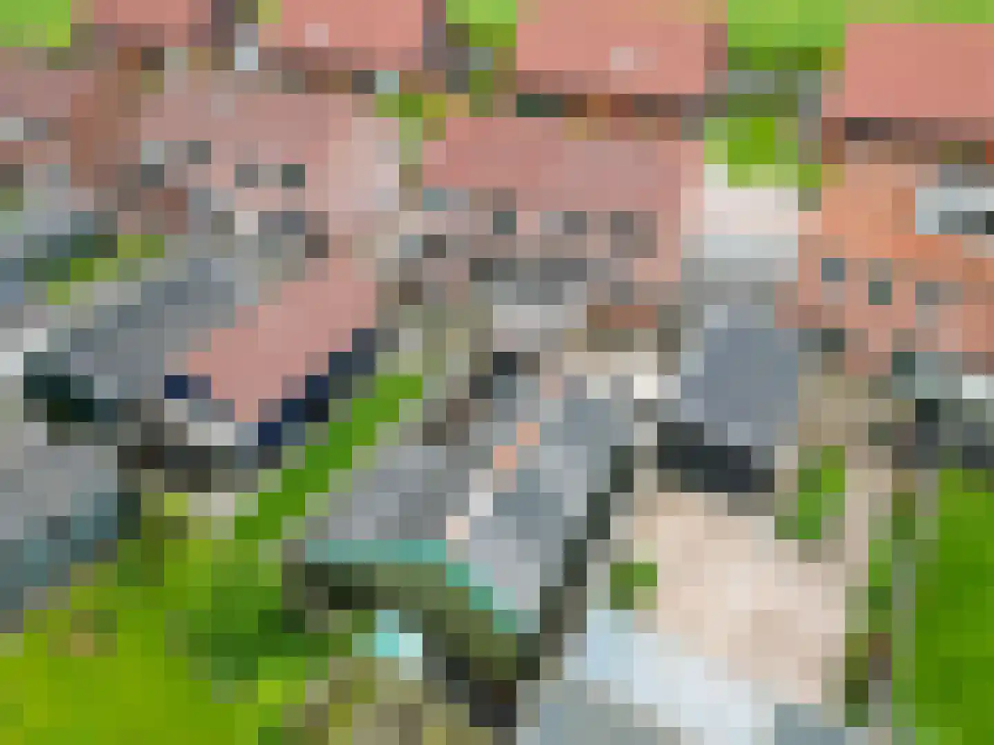 Schoolstraat 11 Ezinge thumbnail 4