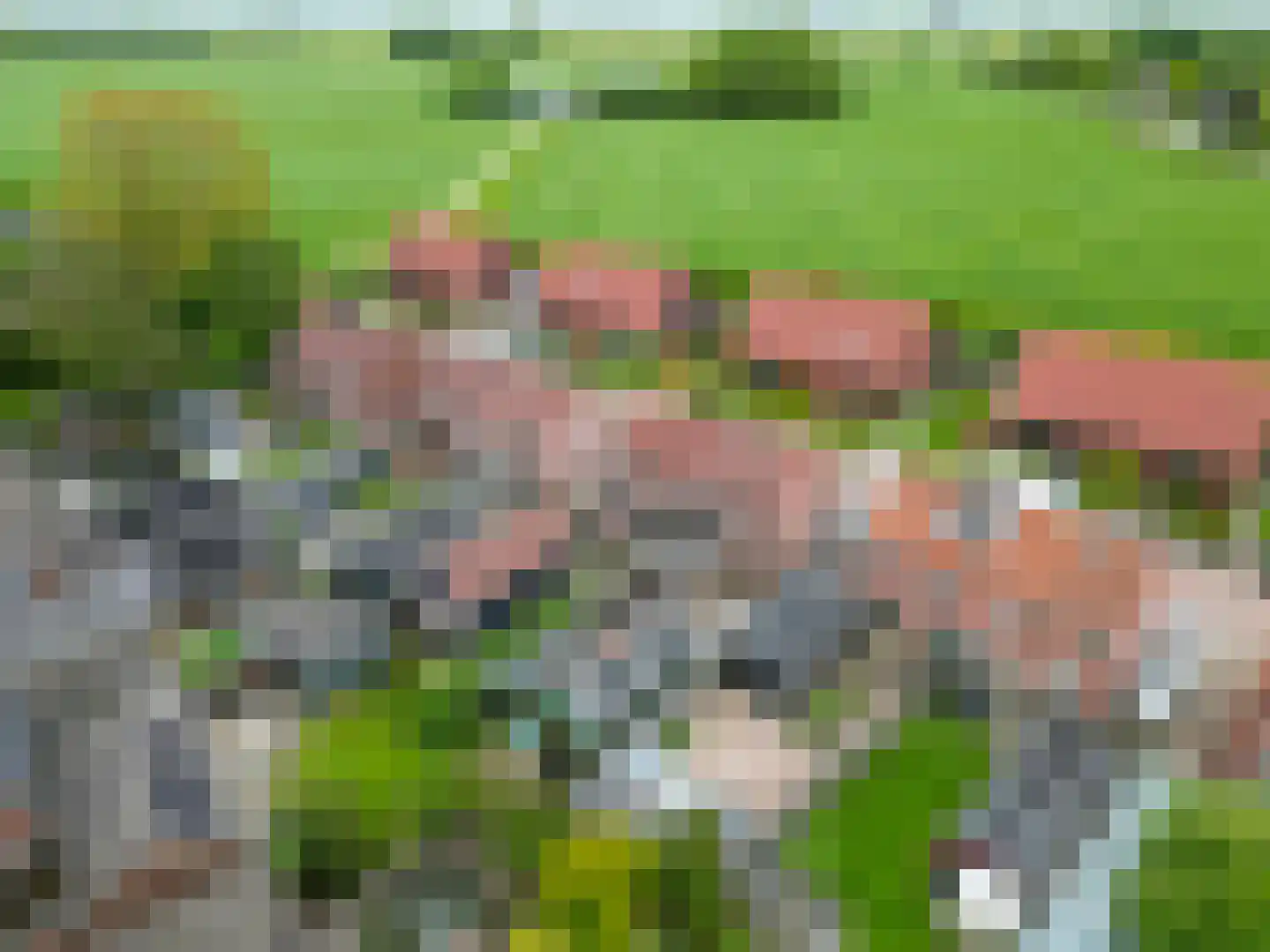 Schoolstraat 11 Ezinge thumbnail 5