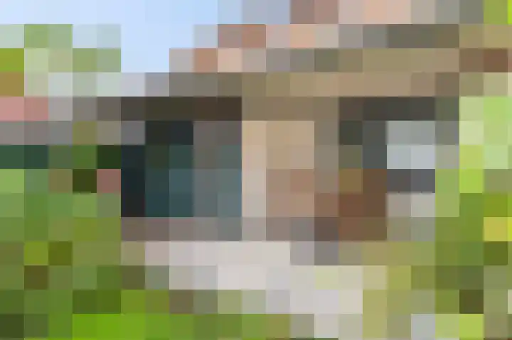 Schoolstraat 11 Holten thumbnail 31