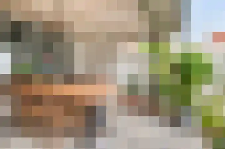 Schoolstraat 11 Holten thumbnail 33