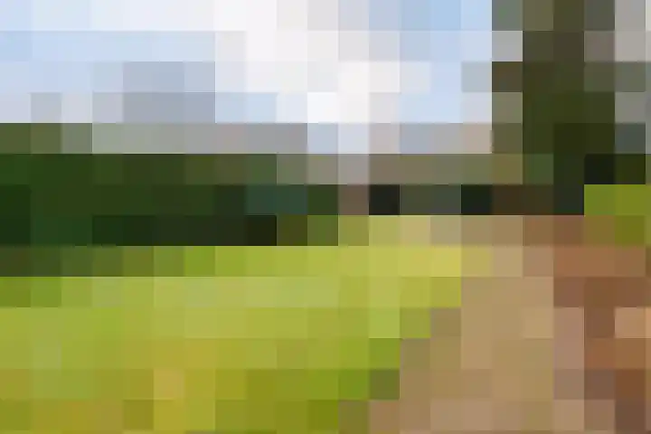 Schoolstraat 11 Milsbeek thumbnail 37