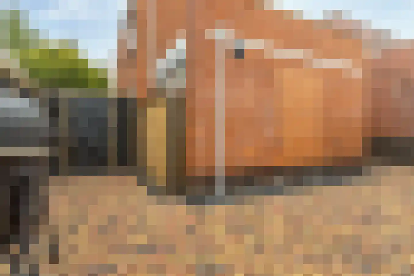 Schoolstraat 11 Musselkanaal thumbnail 39