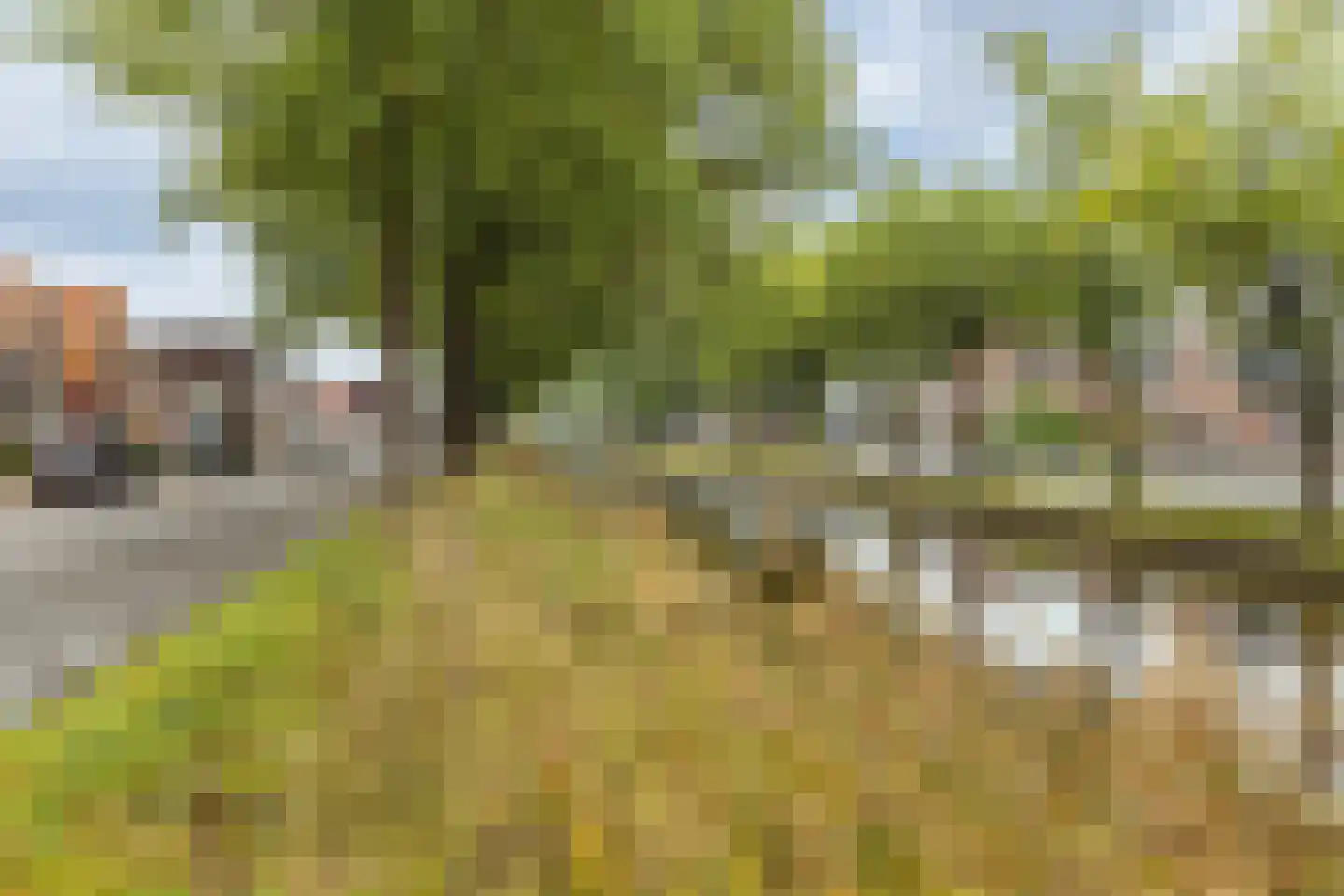 Schoolstraat 11 Musselkanaal thumbnail 48