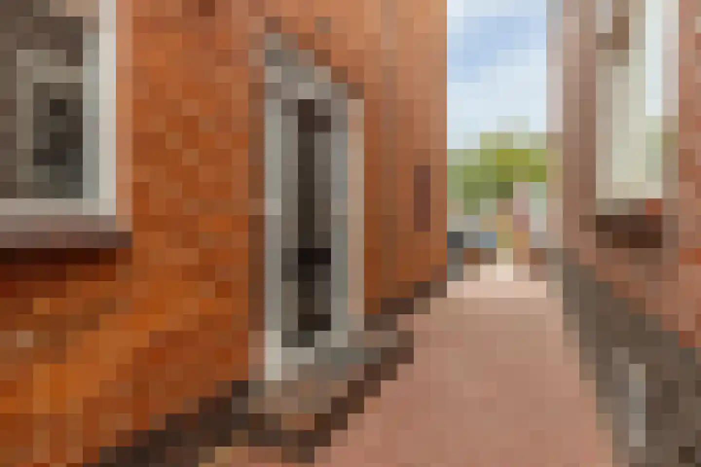 Schoolstraat 11 Musselkanaal thumbnail 6