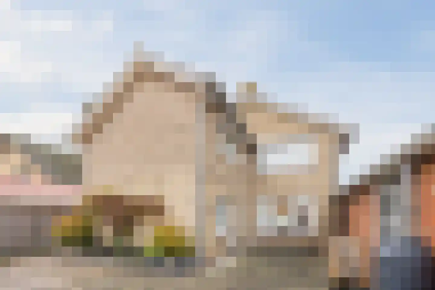 Schoolstraat 11 Vogelwaarde thumbnail 28