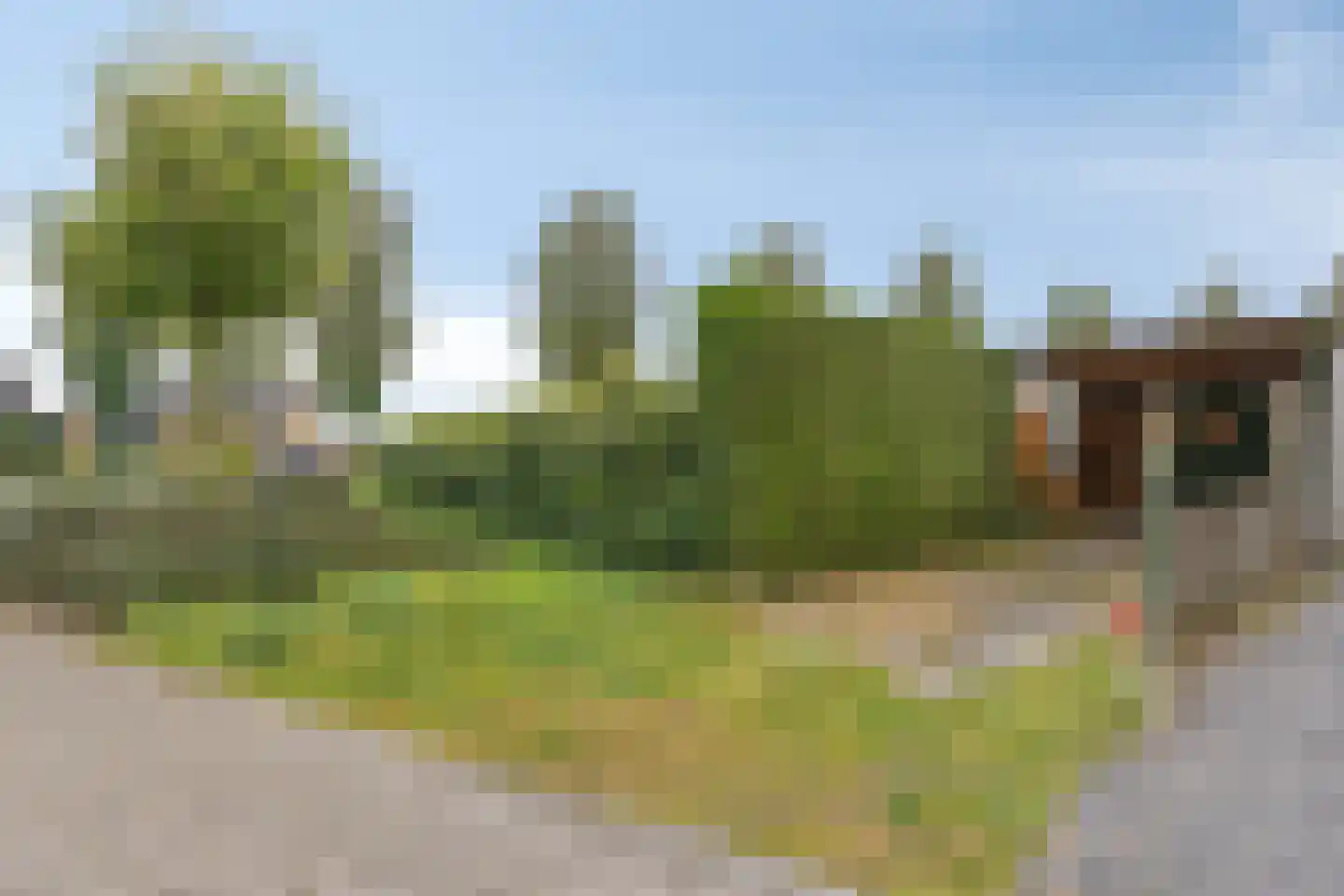 Schoolstraat 11 Westerbeek thumbnail 20