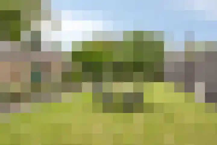 Schoolstraat 12 Leende thumbnail 30