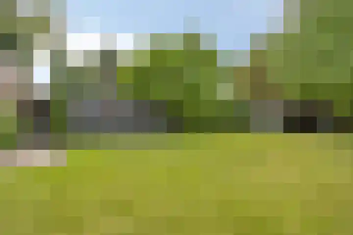 Schoolstraat 12 Leende thumbnail 31