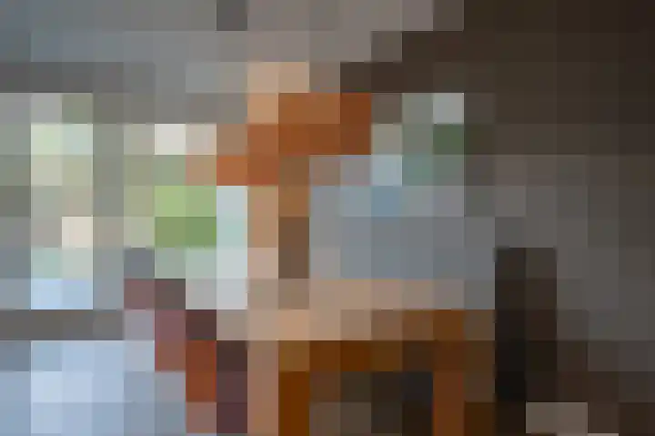 Schoolstraat 12 Luttelgeest thumbnail 16
