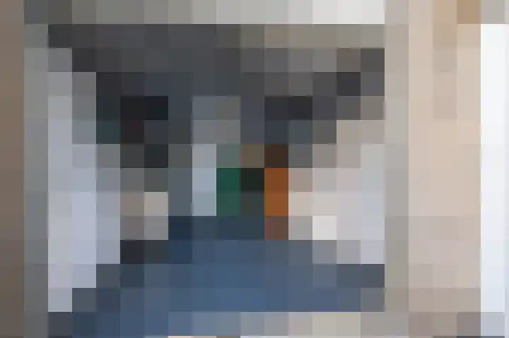 Schoolstraat 12 Luttelgeest thumbnail 25