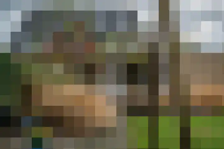 Schoolstraat 12 Luttelgeest thumbnail 42