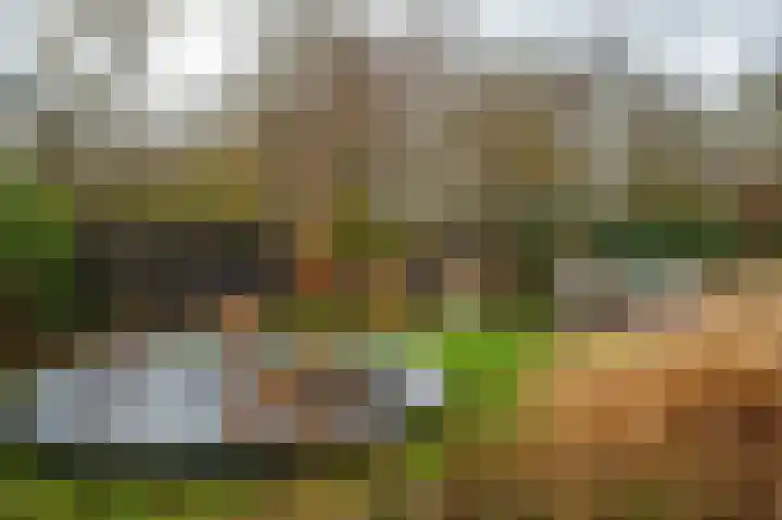 Schoolstraat 12 Luttelgeest thumbnail 44