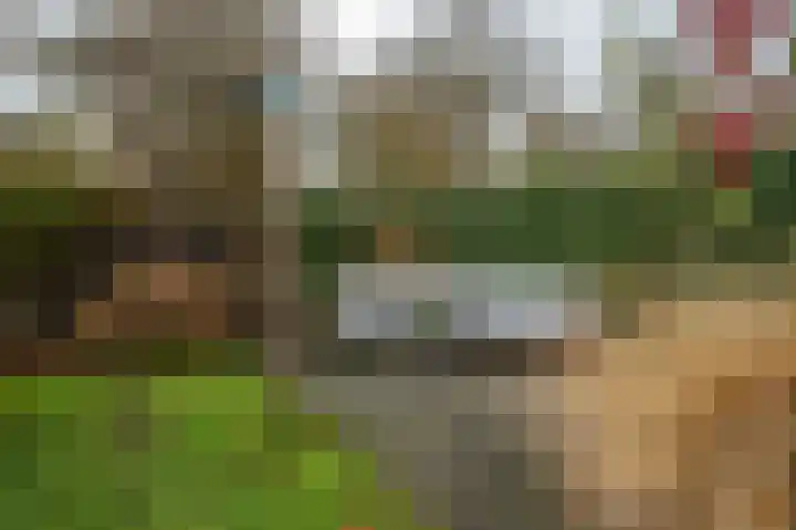 Schoolstraat 12 Luttelgeest thumbnail 46