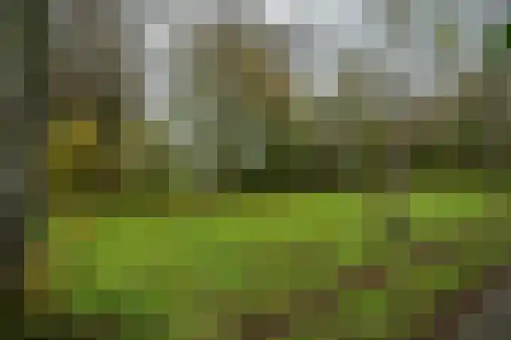 Schoolstraat 12 Luttelgeest thumbnail 52
