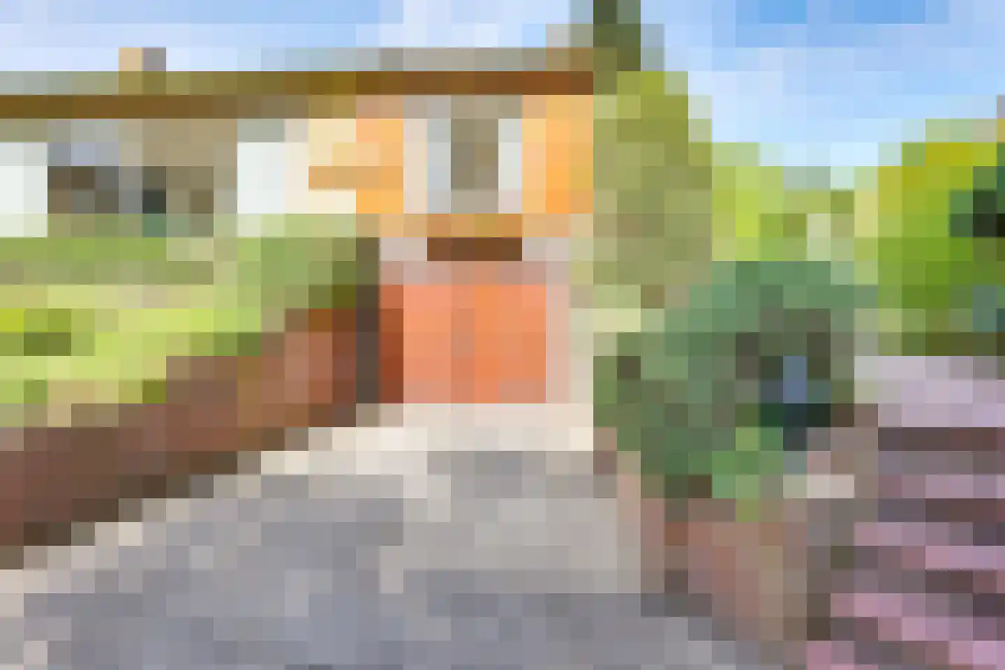 Schoolstraat 12 Markelo thumbnail 37