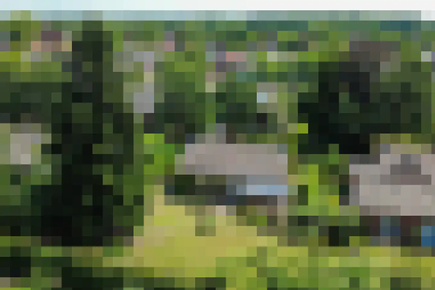 Schoolstraat 12 Markelo thumbnail 38