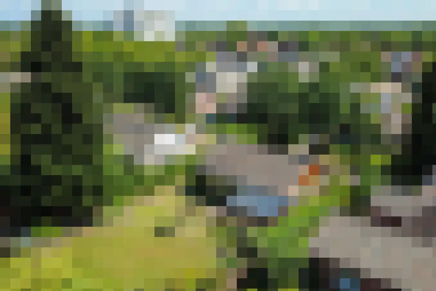 Schoolstraat 12 Markelo thumbnail 39