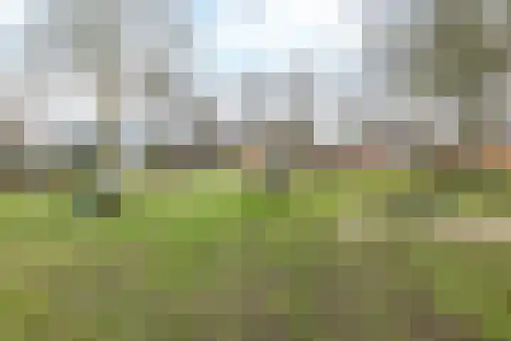 Schoolstraat 12 Oirsbeek thumbnail 33