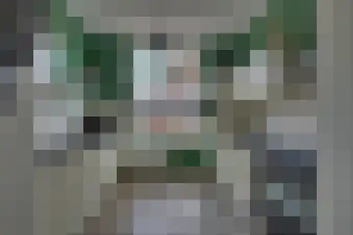Schoolstraat 12 Rijssen thumbnail 17