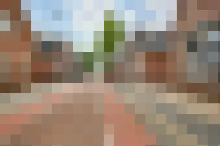 Schoolstraat 12 Rijssen thumbnail 34