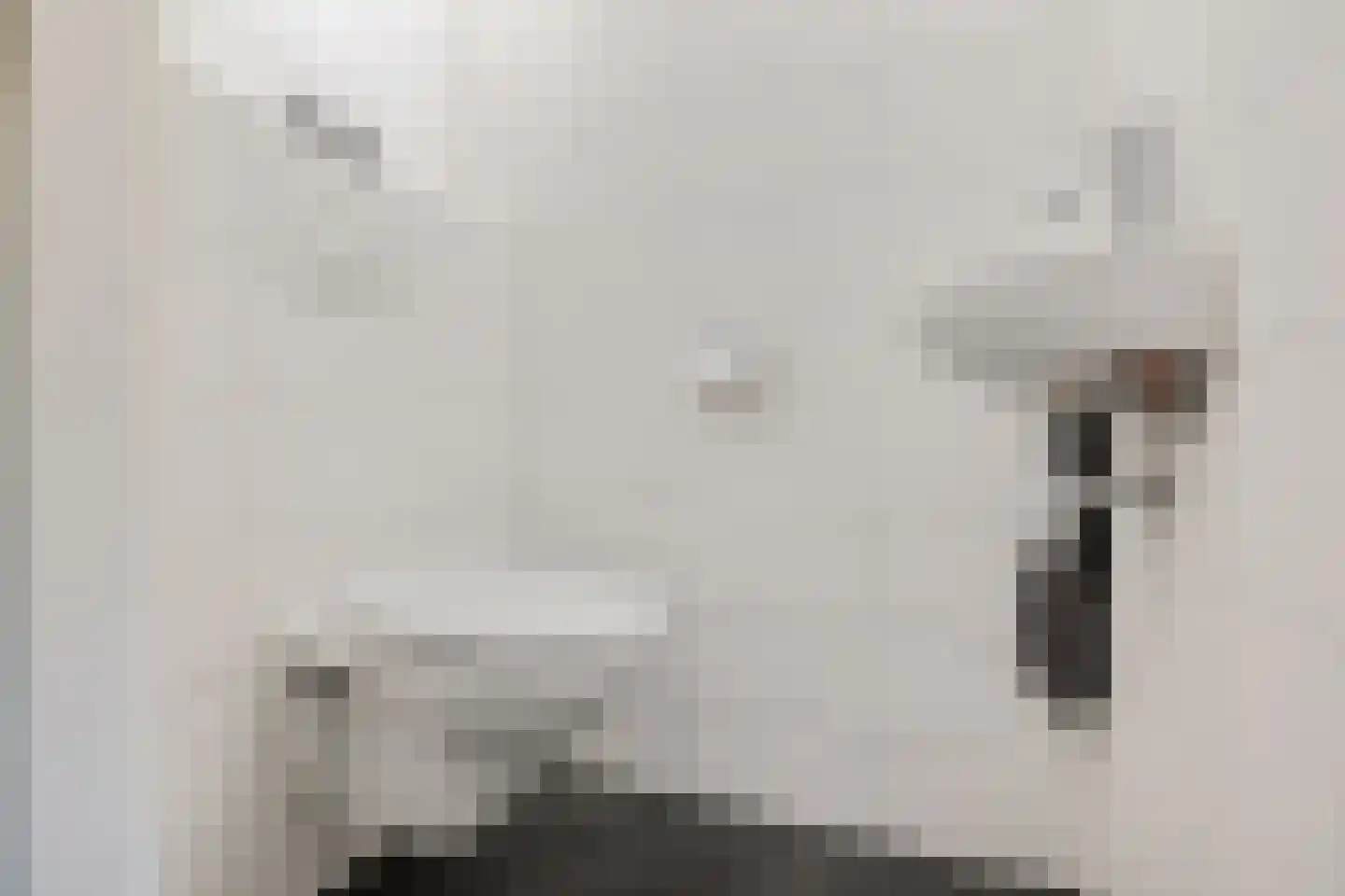 Schoolstraat 12 Schoonloo thumbnail 26