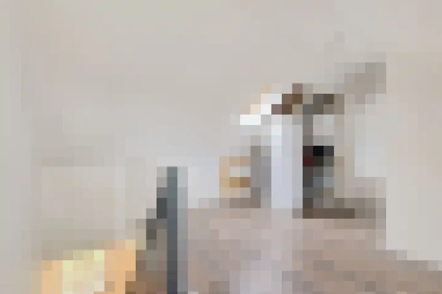 Schoolstraat 12 Schoonloo thumbnail 34