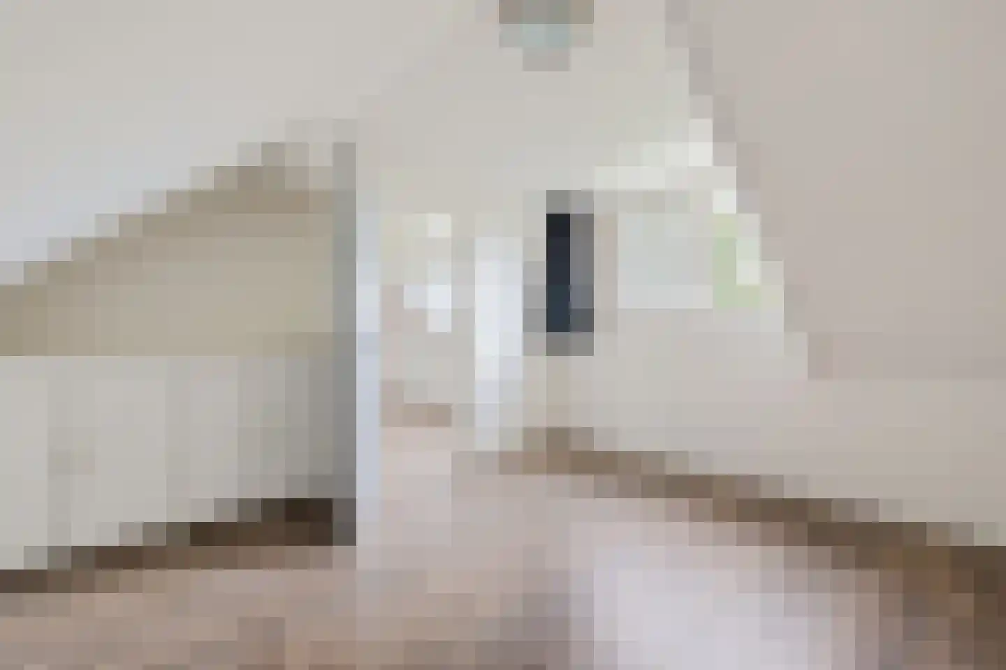 Schoolstraat 12 Schoonloo thumbnail 35