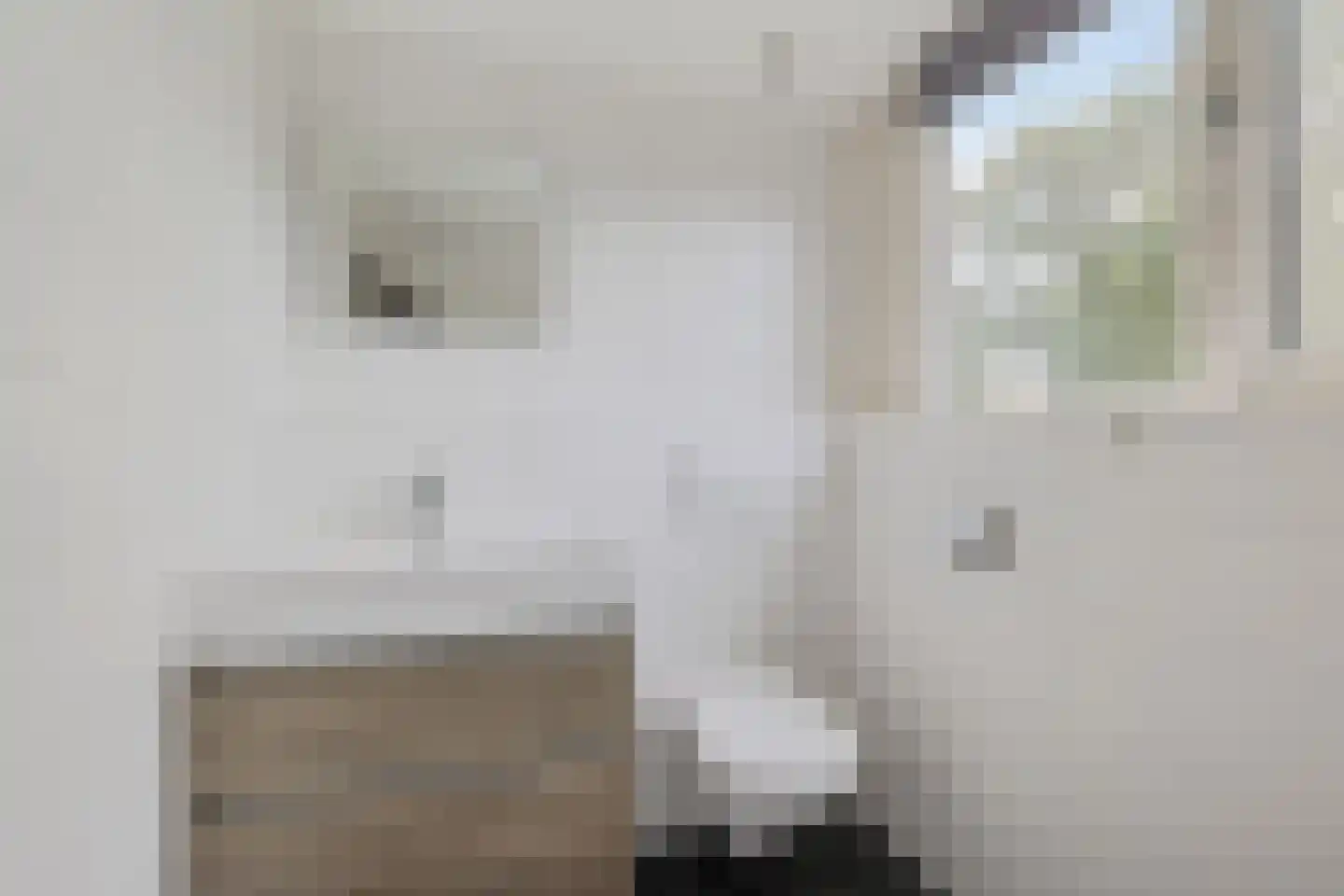 Schoolstraat 12 Schoonloo thumbnail 38