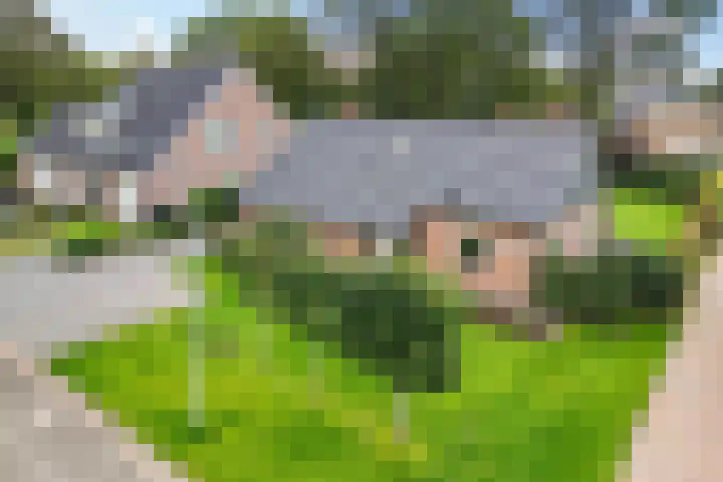 Schoolstraat 12 Schoonloo thumbnail 4
