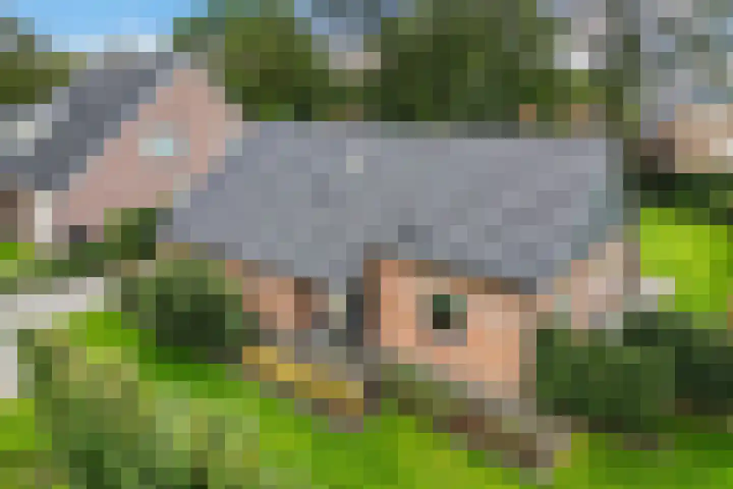 Schoolstraat 12 Schoonloo thumbnail 5