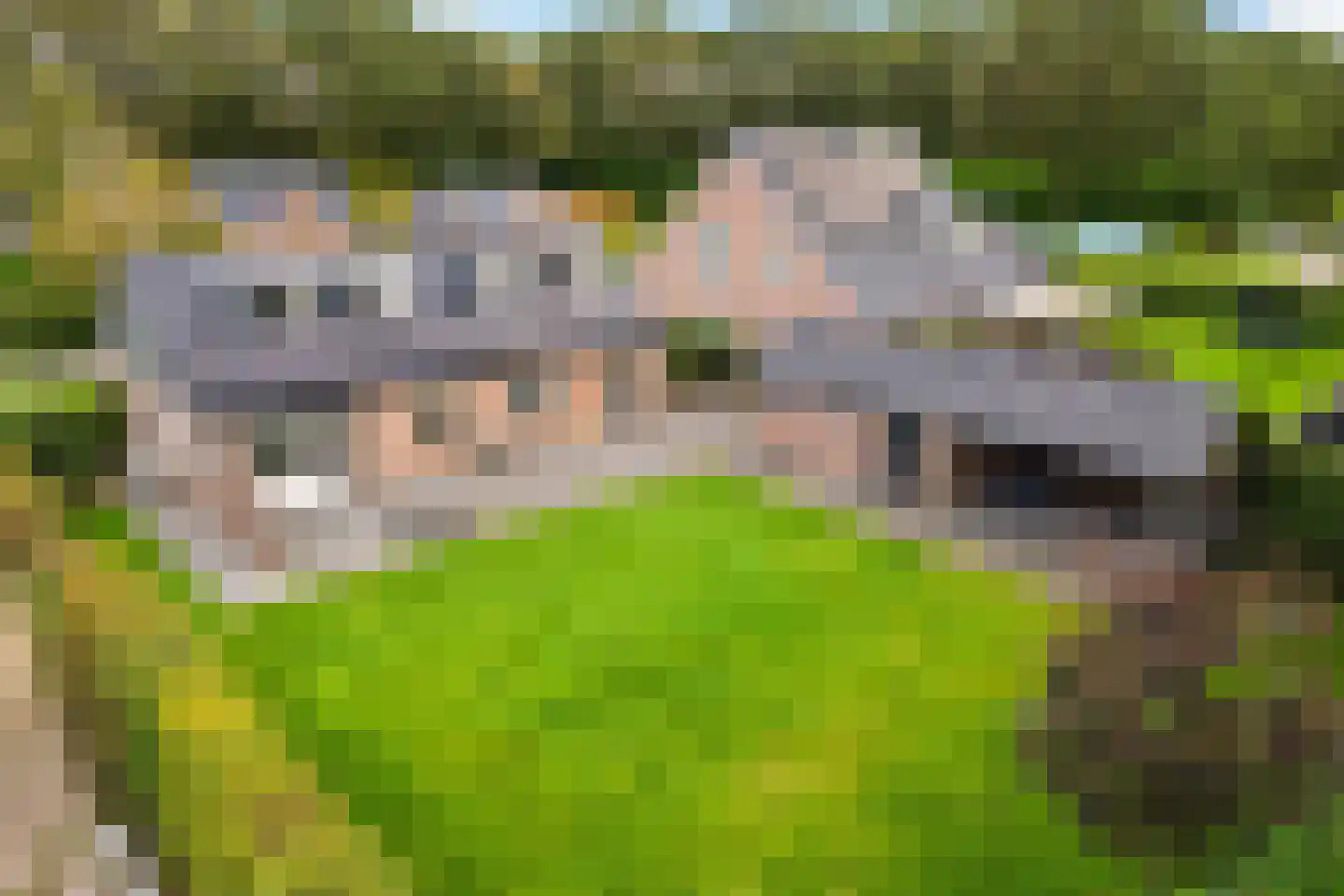 Schoolstraat 12 Schoonloo thumbnail 6