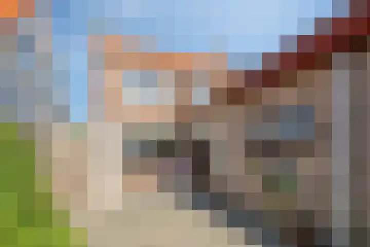 Schoolstraat 12 Sint-Annaland thumbnail 26