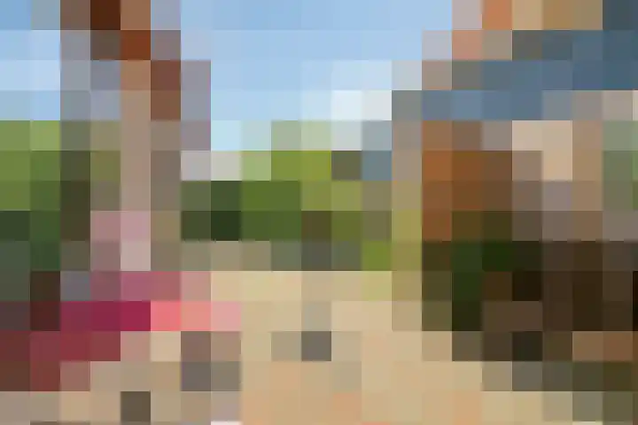 Schoolstraat 12 Sint-Annaland thumbnail 28