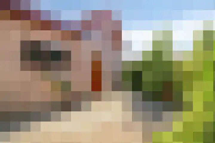 Schoolstraat 12 Sint-Annaland thumbnail 29