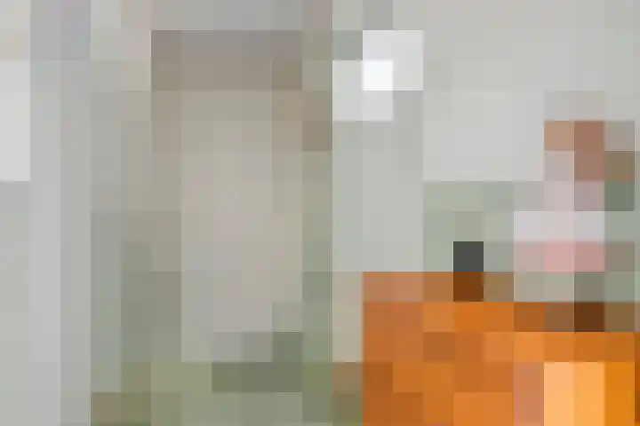 Schoolstraat 12 Sint-Annaland thumbnail 35