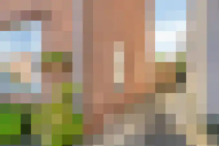 Schoolstraat 12 Sint-Annaland thumbnail 49