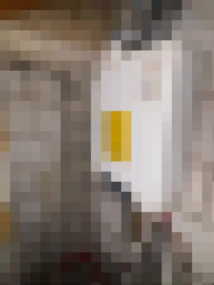 Schoolstraat 12 Slootdorp thumbnail 23