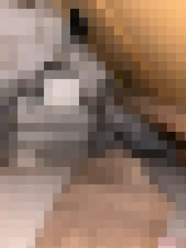 Schoolstraat 12 Slootdorp thumbnail 24