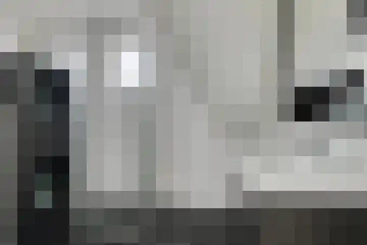 Schoolstraat 12 Strijen thumbnail 16