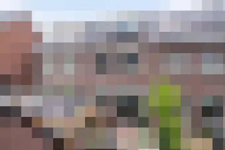 Schoolstraat 12 Strijen thumbnail 23