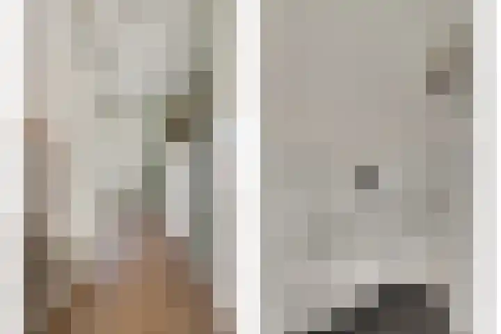 Schoolstraat 12 Strijen thumbnail 6