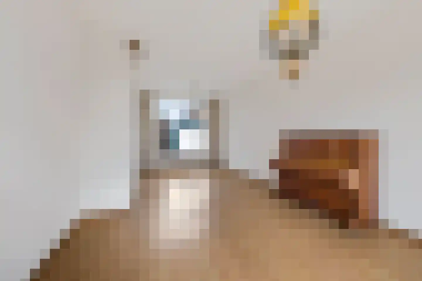 Schoolstraat 12 Wolvega thumbnail 11
