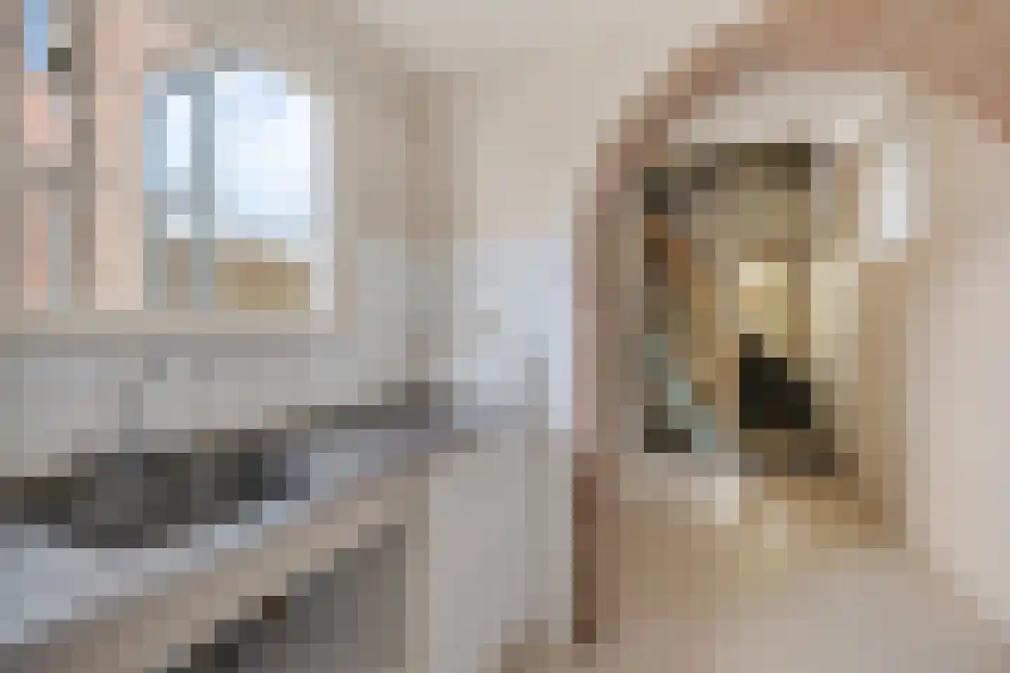 Schoolstraat 12 Wolvega thumbnail 14