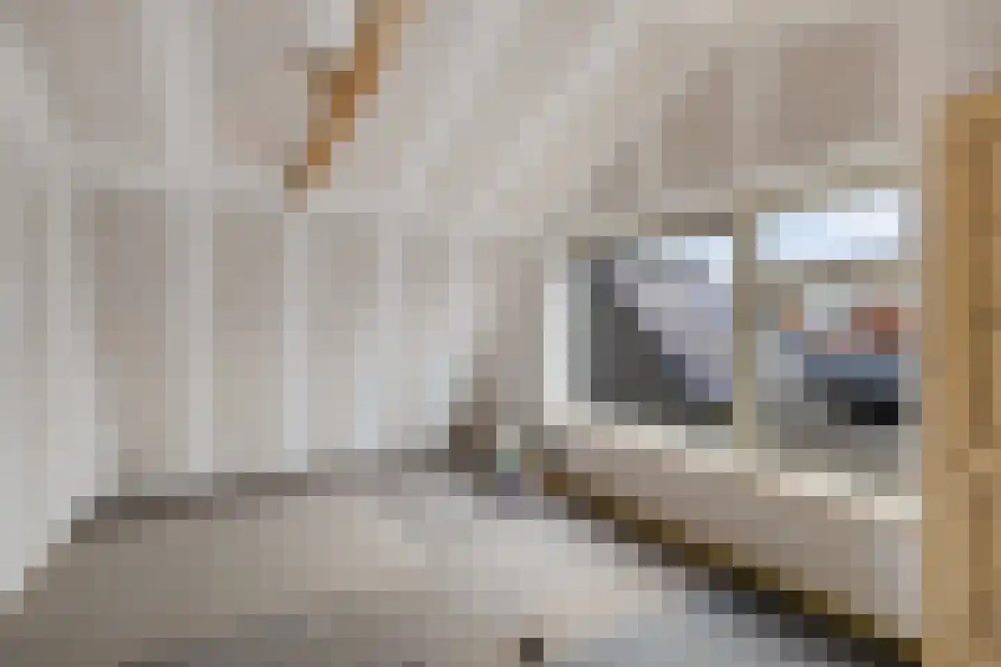 Schoolstraat 12 Wolvega thumbnail 23