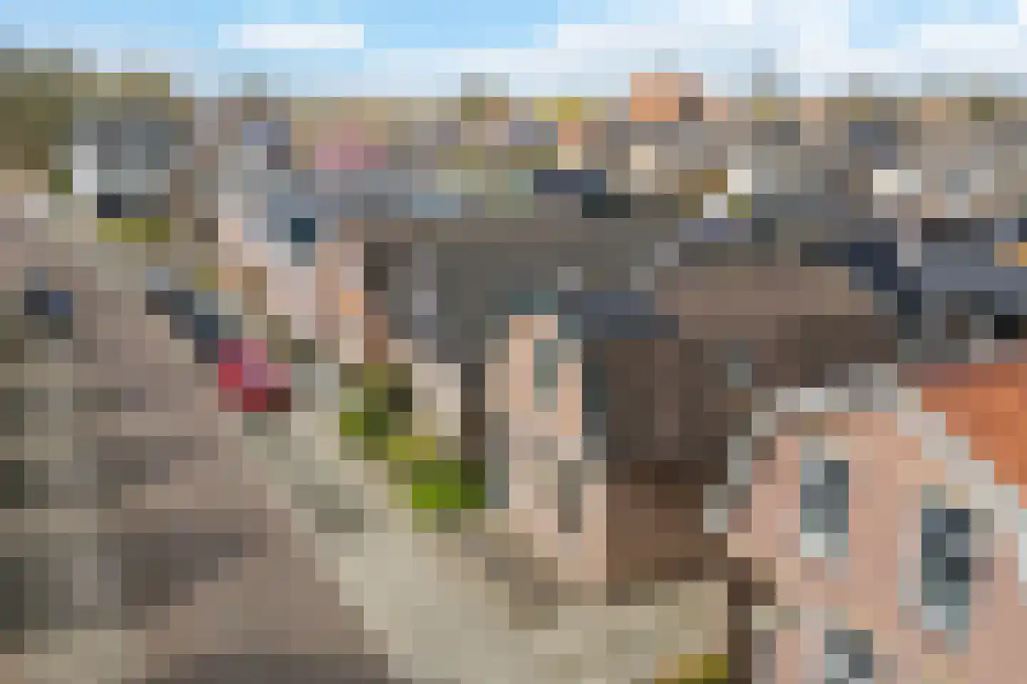 Schoolstraat 12 Wolvega thumbnail 36