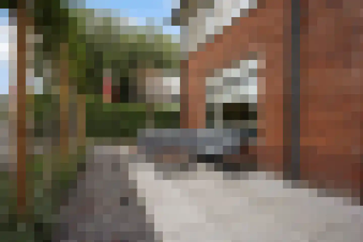 Schoolstraat 12 Zoetermeer thumbnail 10