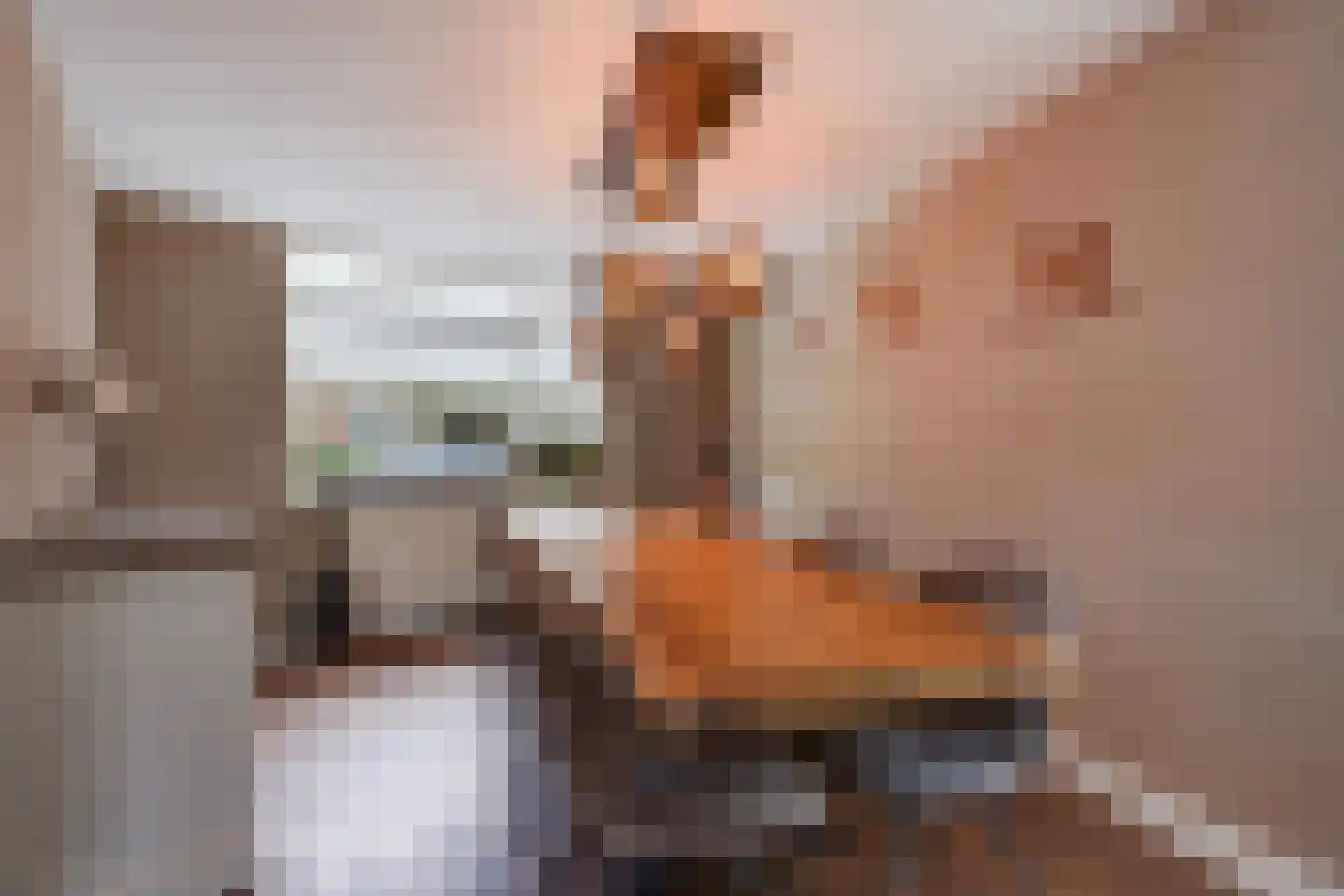 Schoolstraat 12 Zoetermeer thumbnail 15