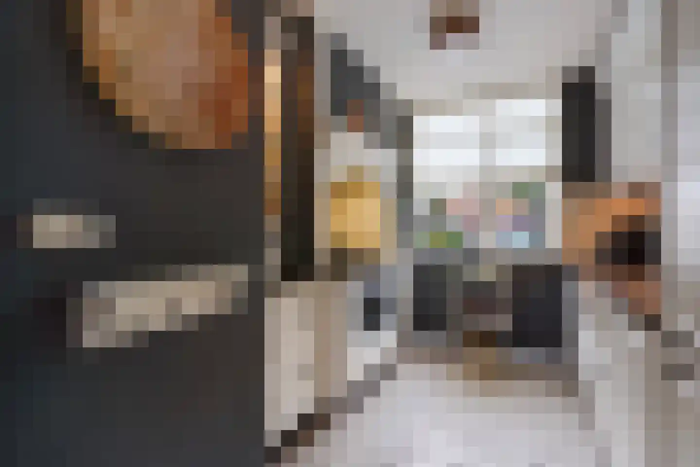 Schoolstraat 12 Zoetermeer thumbnail 17