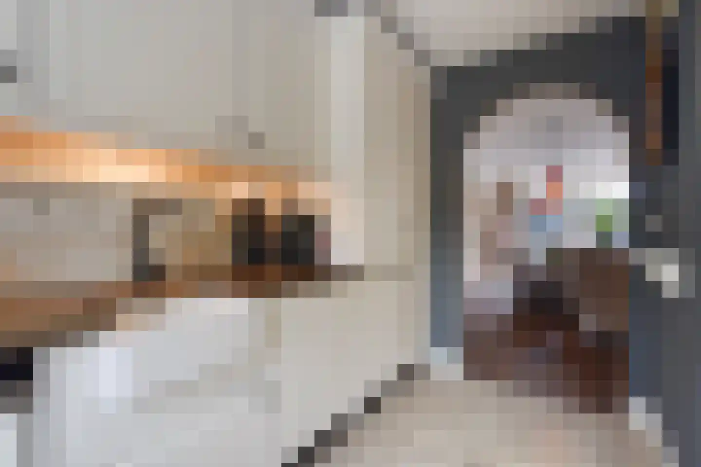Schoolstraat 12 Zoetermeer thumbnail 18